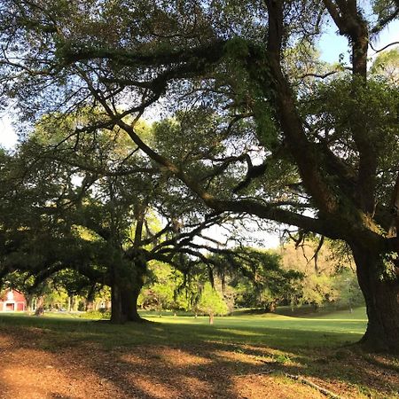 Canemount Plantation Inn Westside Ngoại thất bức ảnh