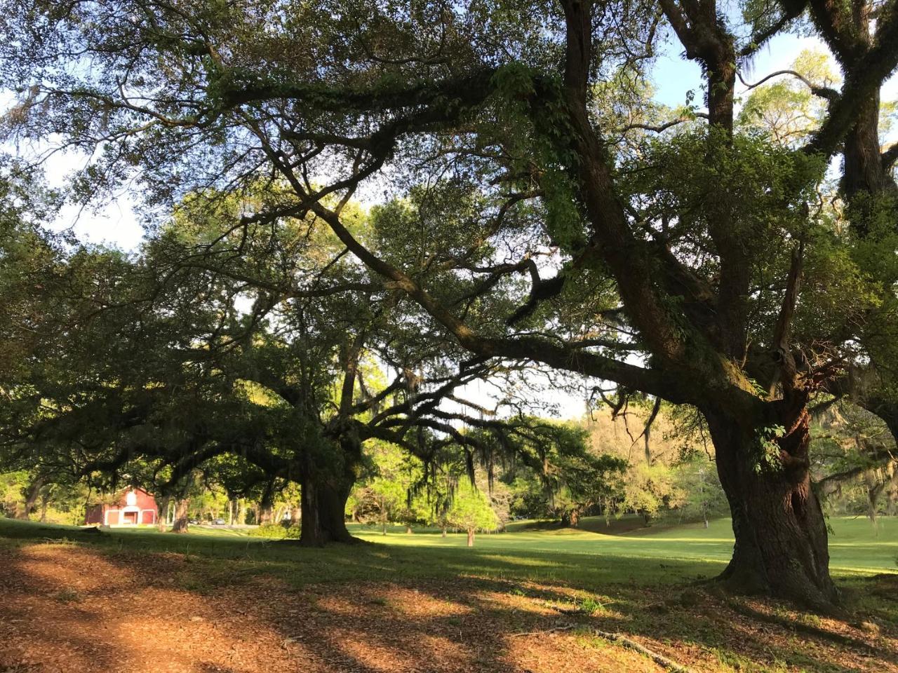Canemount Plantation Inn Westside Ngoại thất bức ảnh