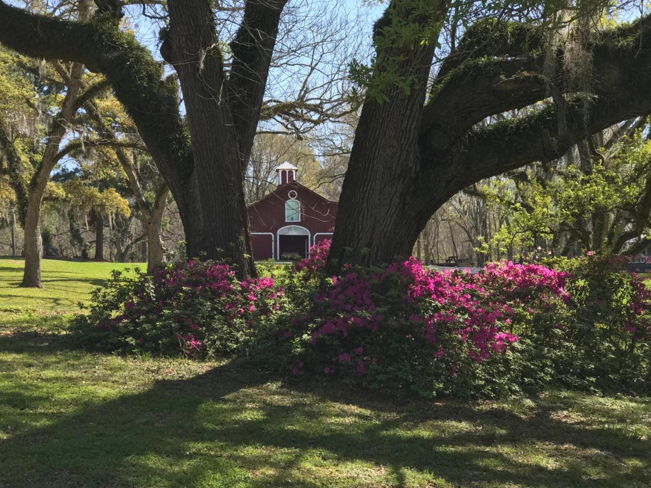 Canemount Plantation Inn Westside Ngoại thất bức ảnh